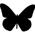 Butterfly 012 _