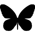 Butterfly 016 _