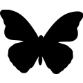 Butterfly 019 _