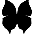 Butterfly 021 _