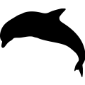 Dolphin 3a =