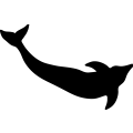 Dolphin 4a _