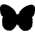 Butterfly 024 _