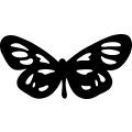 Butterfly 053 =