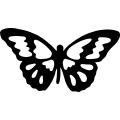 Butterfly 055 =