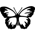 Butterfly 056 =