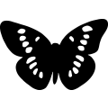 Butterfly 059 =