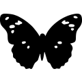 Butterfly 063 =