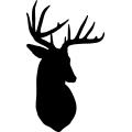 Buck Deer 001 =