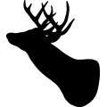 Buck Deer 002 =