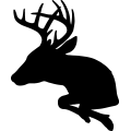 Buck Deer 009 =