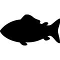 Fish _