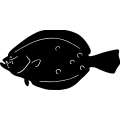 Flounder ~