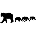 Bear With Cubs 004 -