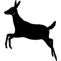 Deer 284 ~