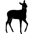 Deer 286 ~