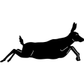 Deer 289 ~