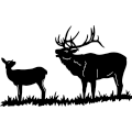 Elk Family 201 ~