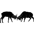 Elk Fighting 210 ~