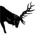 Elk Head 207 ~