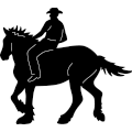 Cowboy Horse 376 ~