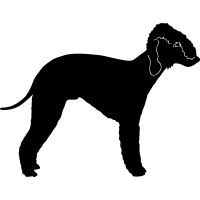 Bedlington Terrier =