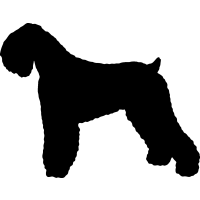 Black Russian Terrier 2 _