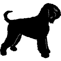 Black Russian Terrier =