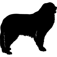Pyrenean Mountain Dog =