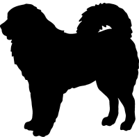 Tibetan Mastiff 2 =