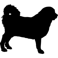Tibetan Mastiff =