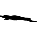 Alligator 3a _