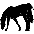 Horse 1 =