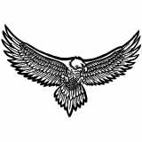 (image for) Eagle Flying